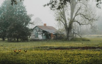 Abandonment